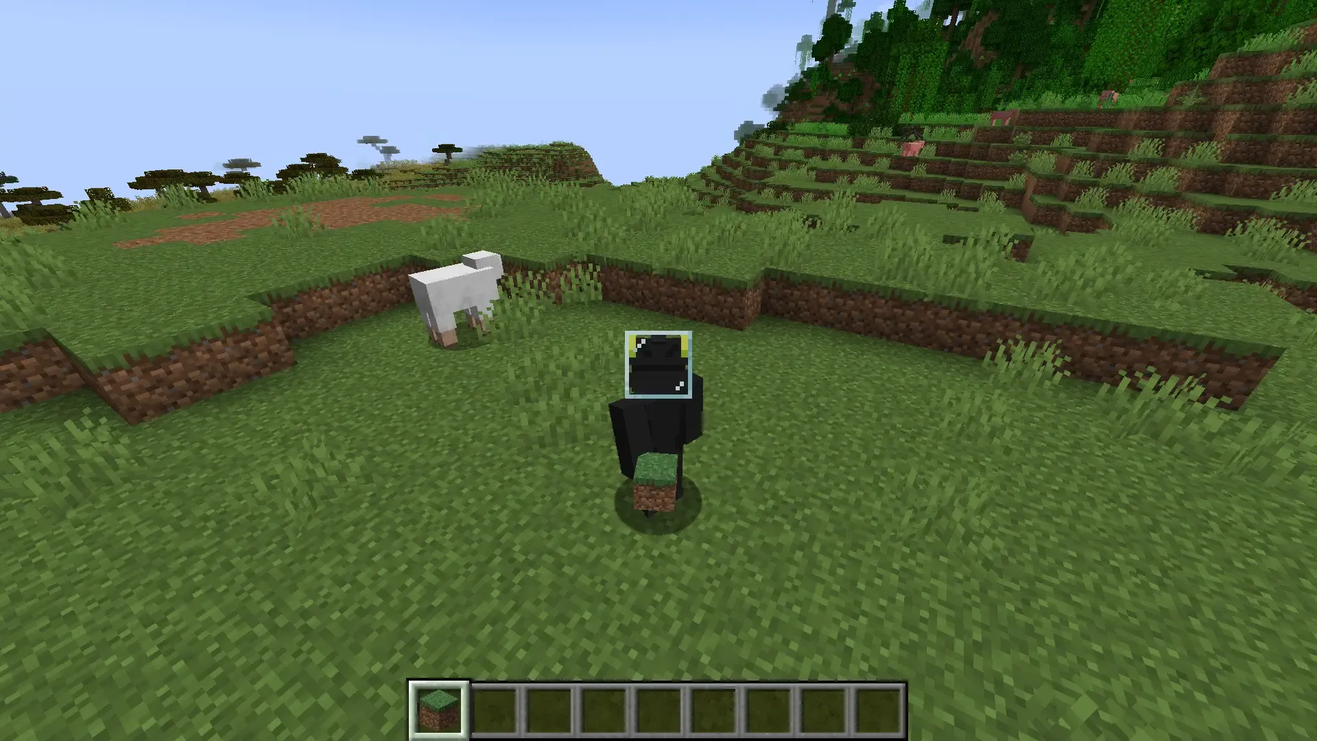 Glass custom armor